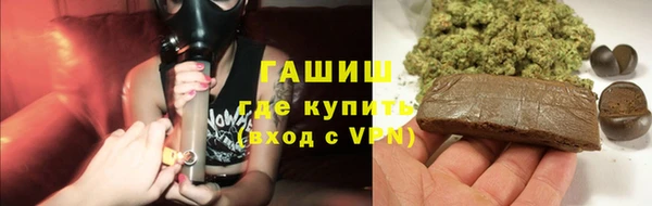 спиды Ельня