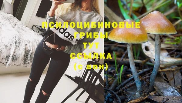 трава Семикаракорск