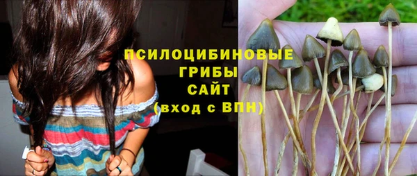 трава Семикаракорск