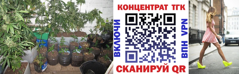 ТГК Wax  Семёнов 