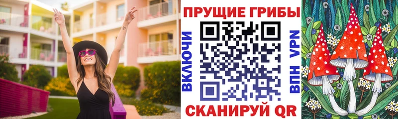 Псилоцибиновые грибы Cubensis  Семёнов 